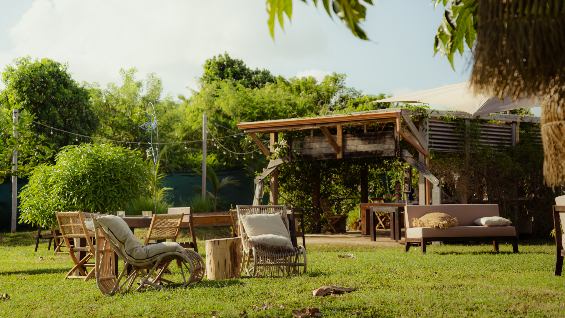 L'Anacardier Guadeloupe