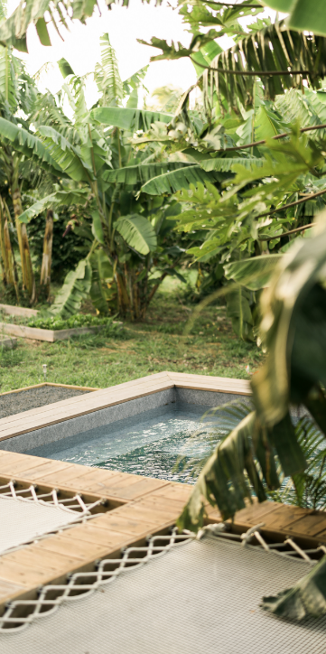 La nature à L'Anacardier