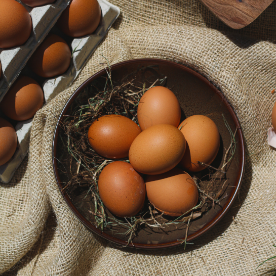 La nature à L'Anacardier